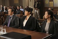 Grey's Anatomy, Currie Graham (L), Sara Ramirez (R), 'Sorry Seems to be the Hardest Word', Season 10, Ep. #9, 11/14/2013, ©ABC