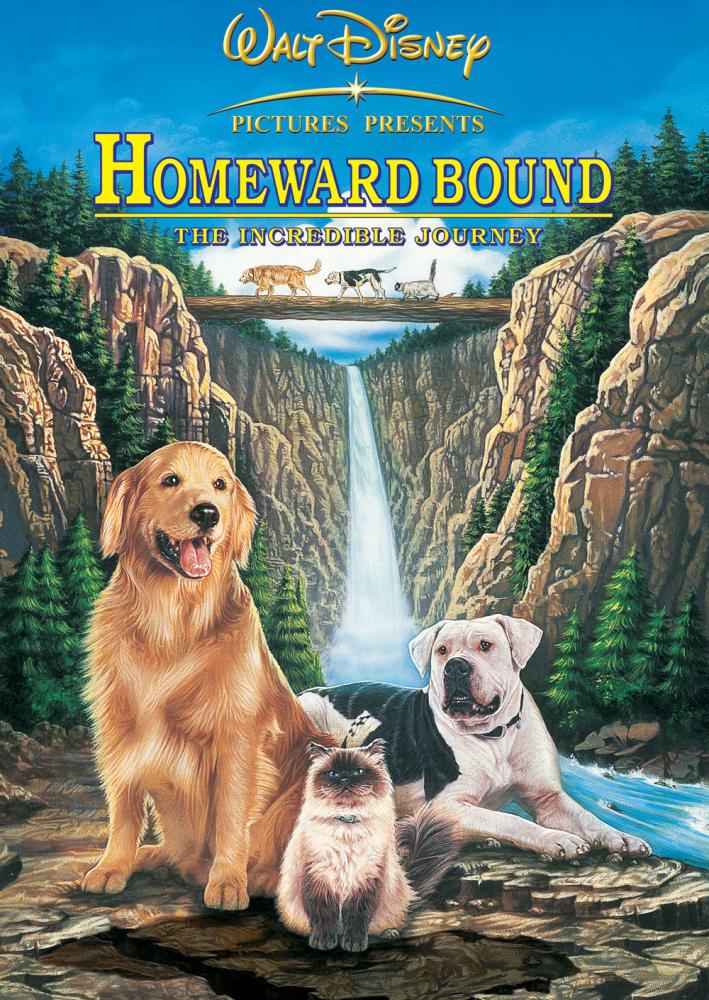 Homeward Bound the Incredible Journey