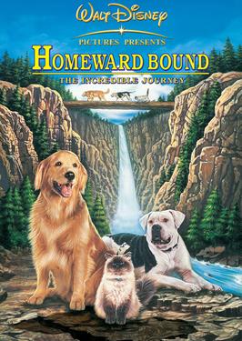 Homeward Bound: the Incredible Journey